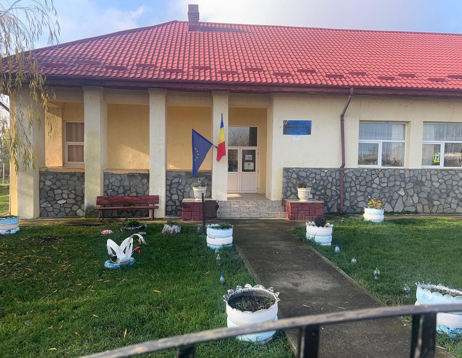 Imagine școală 1